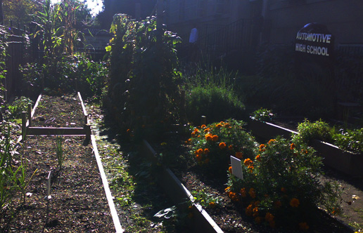 nyc_brooklyn_collectief_tuin_school_01