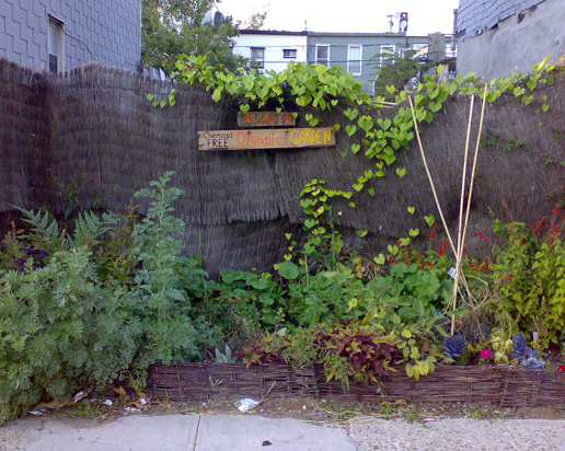 nyc_brooklyn_tijdelijk_groen_gevel_02