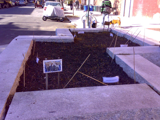 nyc_brooklyn_tuin_straat_groen_01