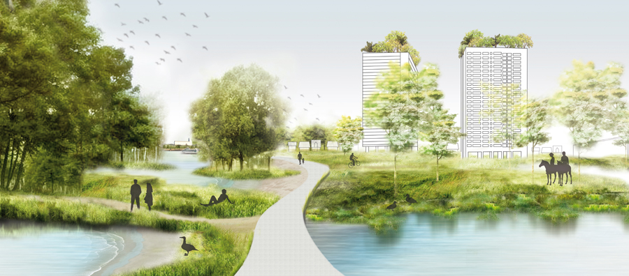 Common landscape web